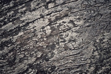 Brown wood background or texture