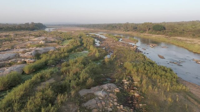 Flying over the green shores of a seasonal river in the Kruger national park.