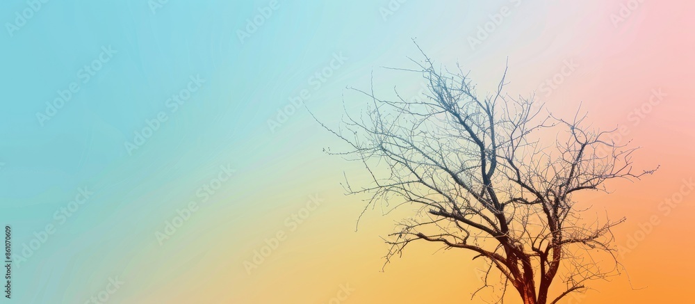 Poster Dead trees Isolated on pastel background Suitable for use. with copy space image. Place for adding text or design