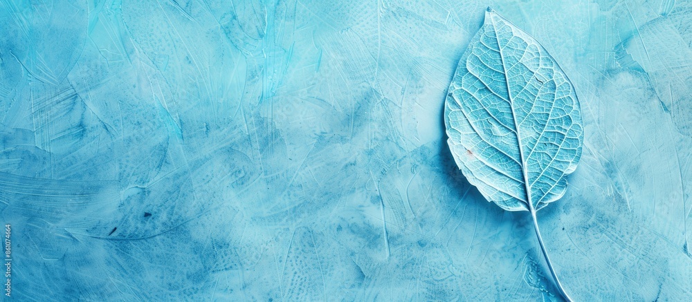 Fototapete blue dry skeleton leaf on pastel background . with copy space image. place for adding text or design