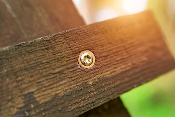 Close-up of hex bolt fastened in wood for repair work