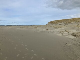 Blick auf die Küstenlandschaft der Nordseeinsel Juist	