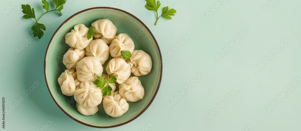 Aufkleber Traditional Russian dumplings in a plate Isolated on pastel background. with copy space image. Place for adding text or design