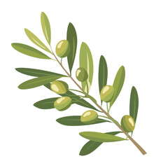 Obraz premium Illustration of olive branch with green leaves and olives on a white background. Perfect for culinary and botanical designs. Isolated on transparent background.