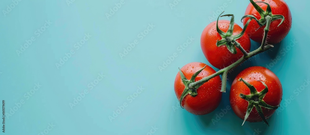 Aufkleber fresh tomato on pastel background tomato photography. with copy space image. place for adding text o