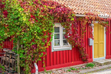 Idyllic red wooden cottage with climbing plants © Lars Johansson