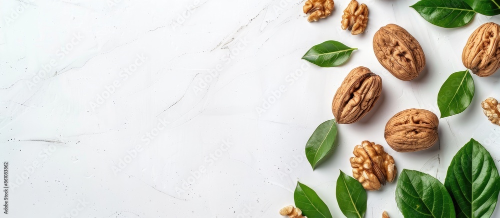 Poster walnut on a white scene pastel background design food. copy space image. place for adding text and d