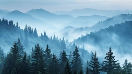 Misty mountain landscape with a valley and a forest of pine trees.