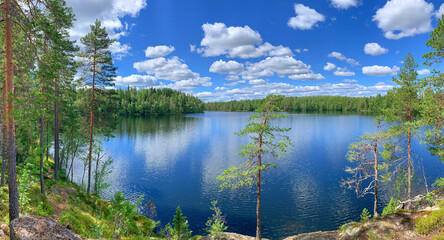 wilderness lake and forest summer scenery with blue water and sky with white clouds