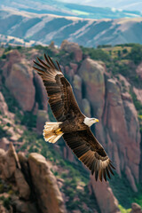 Majestic bald eagle soaring over mountain landscape