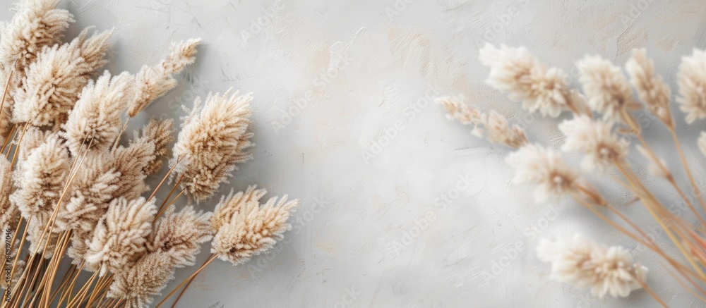Poster dry color grass flower for interior decoration. copy space image. place for adding text and design