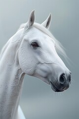 Majestic White Equine Subject in Ethereal Studio Composition