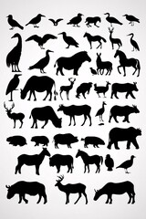 Fototapeta premium Basic Animal Silhouettes