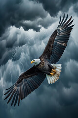 Fototapeta premium Majestic bald eagle soaring through a dramatic lightning storm