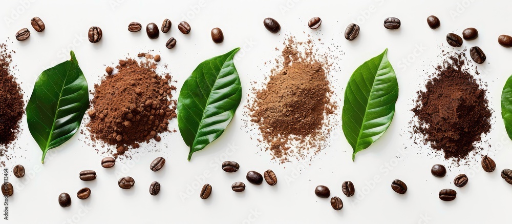 Poster flat lay of ground coffee with coffee beans and real coffee leaves isolated on white background. cop