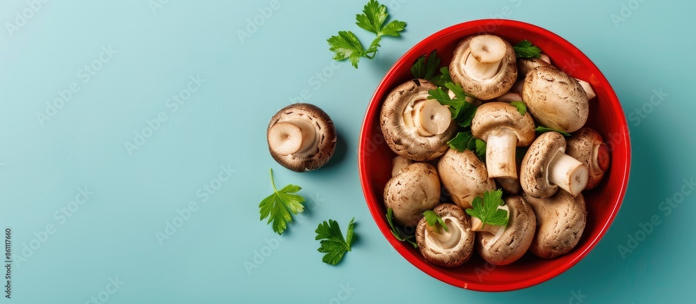 Poster Shiitake mushrooms in red bowl with Parsley on pastel background. Copy space image. Place for adding text and design