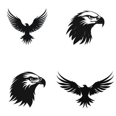 Fototapeta premium eagle with wings