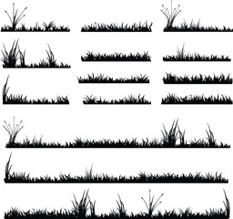 grass isolated silhouette in black, nature long grass, foliage, lawn, meadow vector 