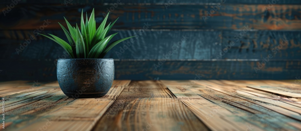 Poster notebook with plant pot on old brown wooden table . copy space image. place for adding text and desi