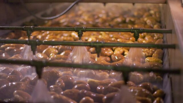 A potato factory showcases its detailed washing process for fresh potatoes using slowmotion footage. Water sprays on a conveyor belt ensure hygiene and quality in the production process
