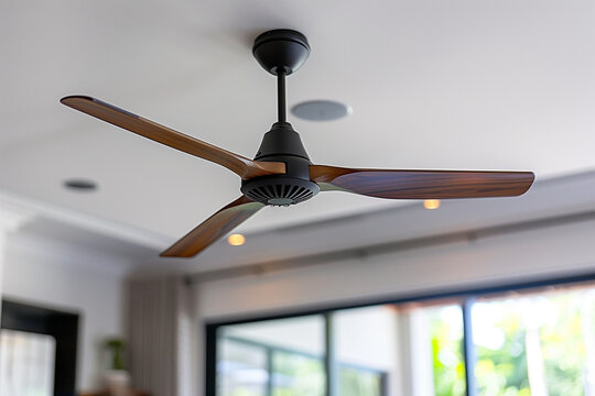 A sleek ceiling fan with dark wooden blades installed in a contemporary living room with a bright window
