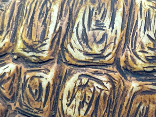 Tortoiseshell background. Texture