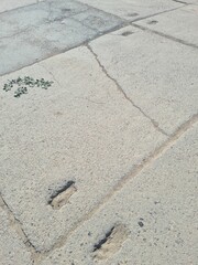 Betonplattenstraße in der DDR aus Sowjetzeiten für Panzer 3