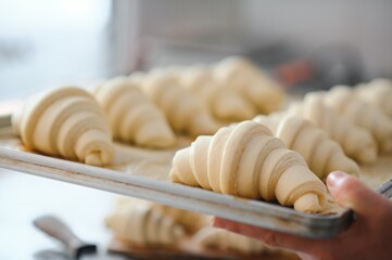 Raw croissants on a baking tray, prepared for baking