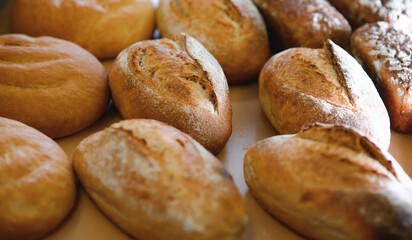 Freshly baked bread on bakery shelves. Bread diversity in bright light. Breads with a golden crust on wooden shelves