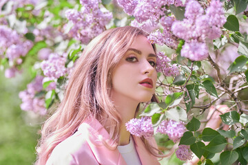 Fototapeta premium lilacs blossom aroma