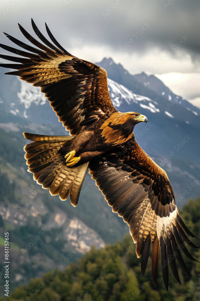 Wall mural Majestic golden eagle soaring over mountain landscape