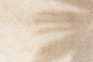 Natural palm leaf shadow on light beige sandy color background with empty space. Summer minimal...