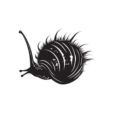 recommend clip art: Weaver Crustacean silhouette black and white (Snail, Mollusca)
