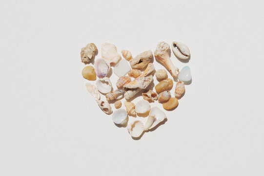 Heart made of shells on a white background. 