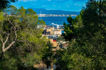 Naklejka premium view of the bay