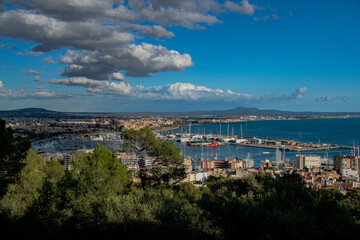 view of the city from the lake