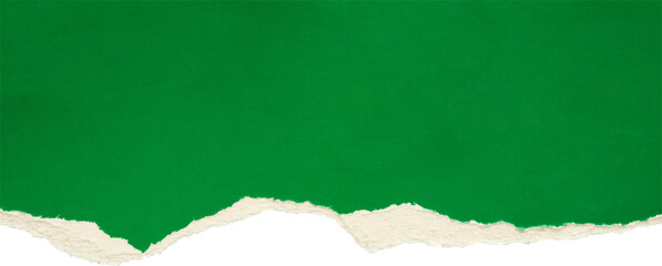 Green ripped paper torn edges strips isolated on white background