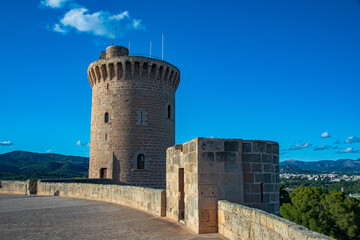 the tower of the castle