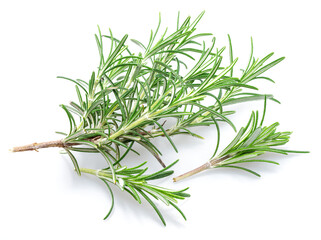 Fototapeta premium Green fresh rosemary twig isolated on white background.