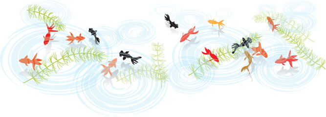 金魚　泳ぐ　夏イメージ　背景素材　ベクターイラスト