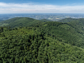 Obraz premium Drone fly above green mountains in summer. Polish green mountains and hills aerial drone photo. Drone view in Beskid mountains, Blatnia. Summer green forest on Blatnia. Beskid mountains in Jaworze.