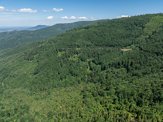 Drone fly above green mountains in summer. Polish green mountains and hills aerial drone photo. Drone view in Beskid mountains, Blatnia. Summer green forest on Blatnia. Beskid mountains in Jaworze.
