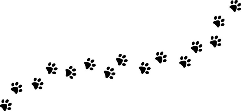 Paw vector trail, pet foot print silhouette track, isolated clip art element design