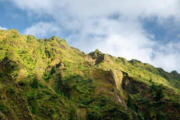 A very tall mountain on Sao Miguel Island in the Azores is completely covered in thick, vibrant green vegetation. The mountain dominates the landscape with its impressive height and dense greenery.