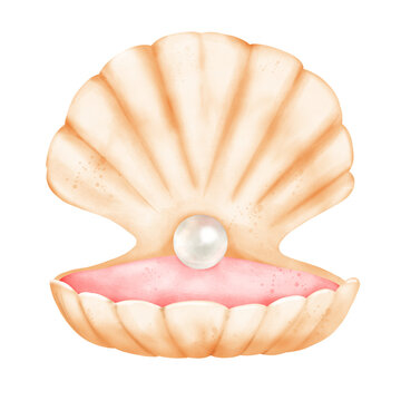 Cute adorable clam shell with pearl in pastel watercolor with summer sea, hand draw