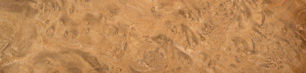 Myrtle root veneer with mesmerizing patterns and a warm, golden sheen
