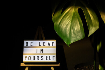 Funny joke idea inscription saying BE LEAF believe IN YOURSELF Monstera silhouette leaf in dark...