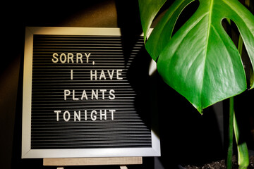 Funny joke idea inscription saying SORRY I HAVE PLANTS plans TONIGHT Monstera silhouette leaf in...