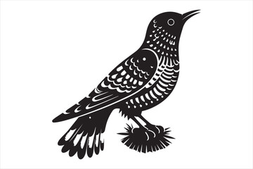 Obraz premium Cuckoo Vector silhouette image