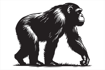 Obraz premium Chimpanzee Vector silhouette image